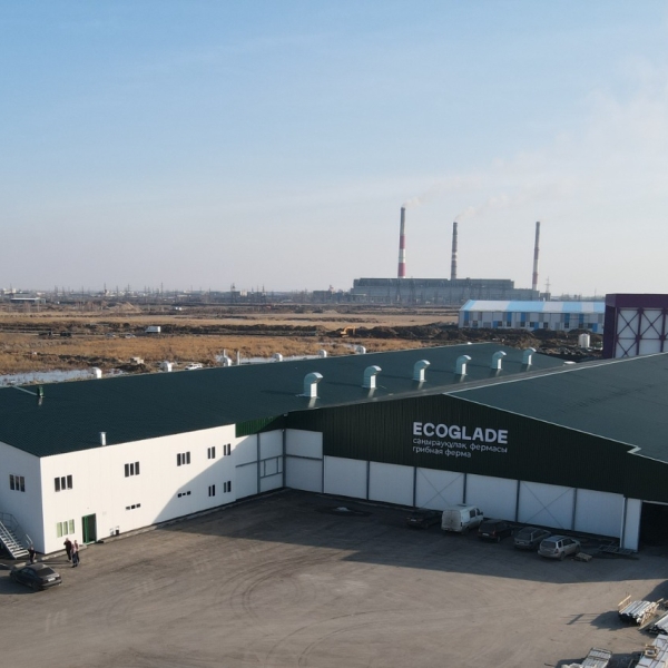 ТОО «ECO GLADE»